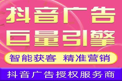 SEM代运营经典案例解析与启示